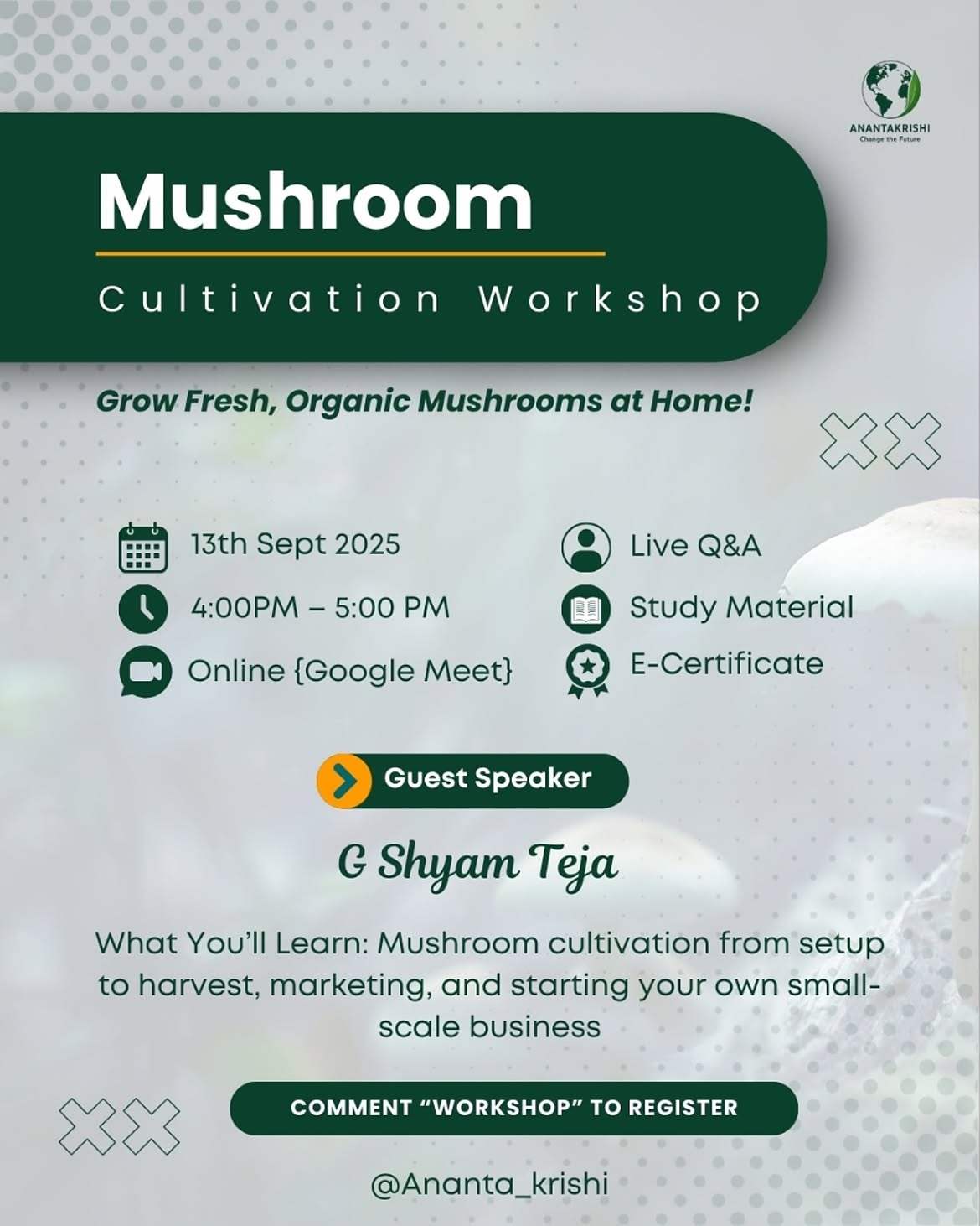 Online Mushroom Cultivation
